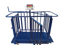 Animal Weighing Scale Kenya | Goat, Sheep & Pig Digital Scale
